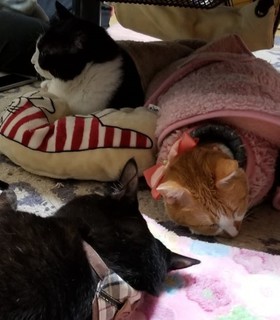 2019-02-27_133659.jpg