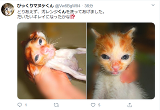 2020-04-16_101033.png